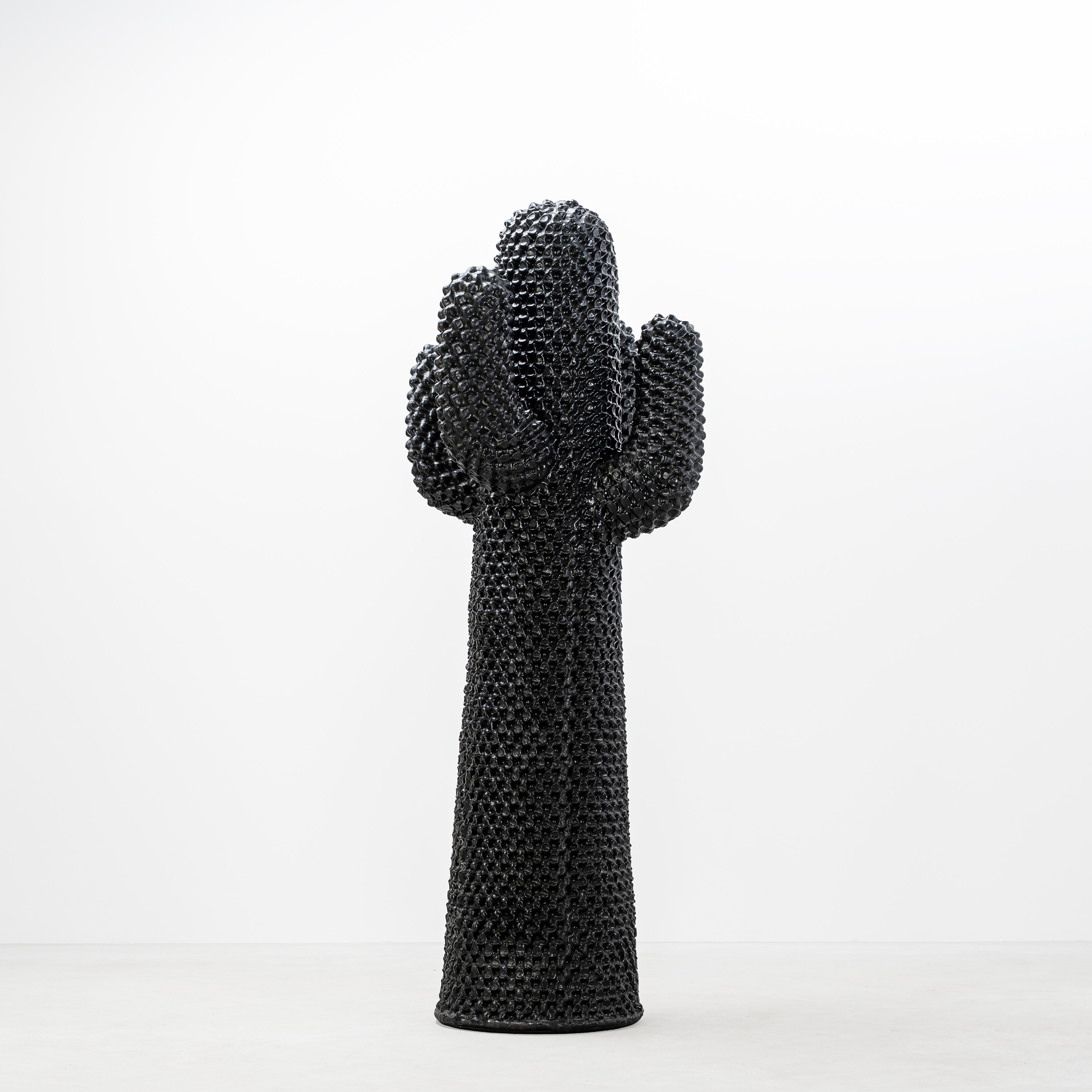 GUIDO DROCCO E FRANCO MELLO, 'CACTUS'
