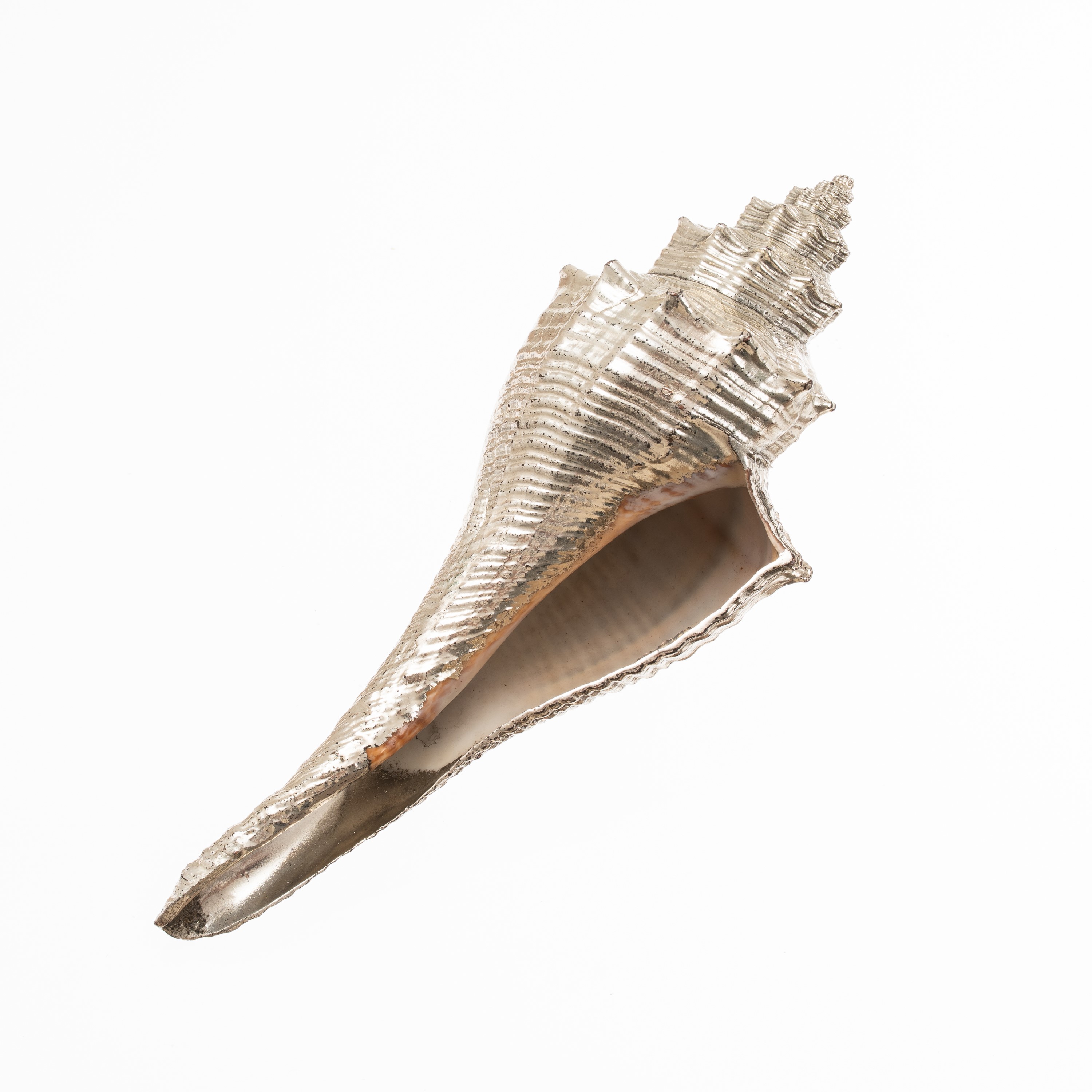 M. BUCCELLATI - TRE CONCHIGLIE RIVESTITE IN ARGENTO