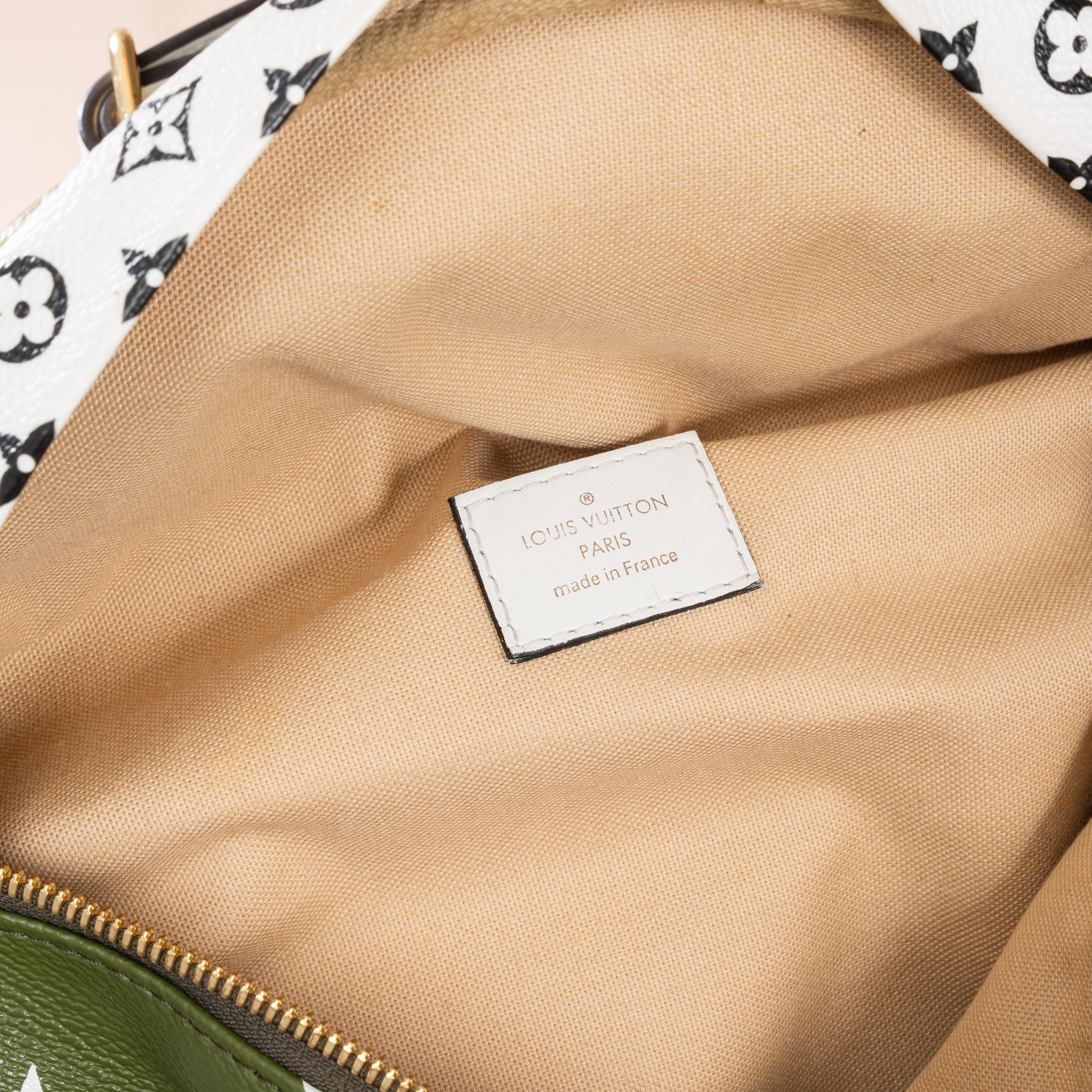 LOUIS VUITTON BUMBAG MONOGRAM E MONOGRAM GIANT MULTICOLORE GHW - 2019