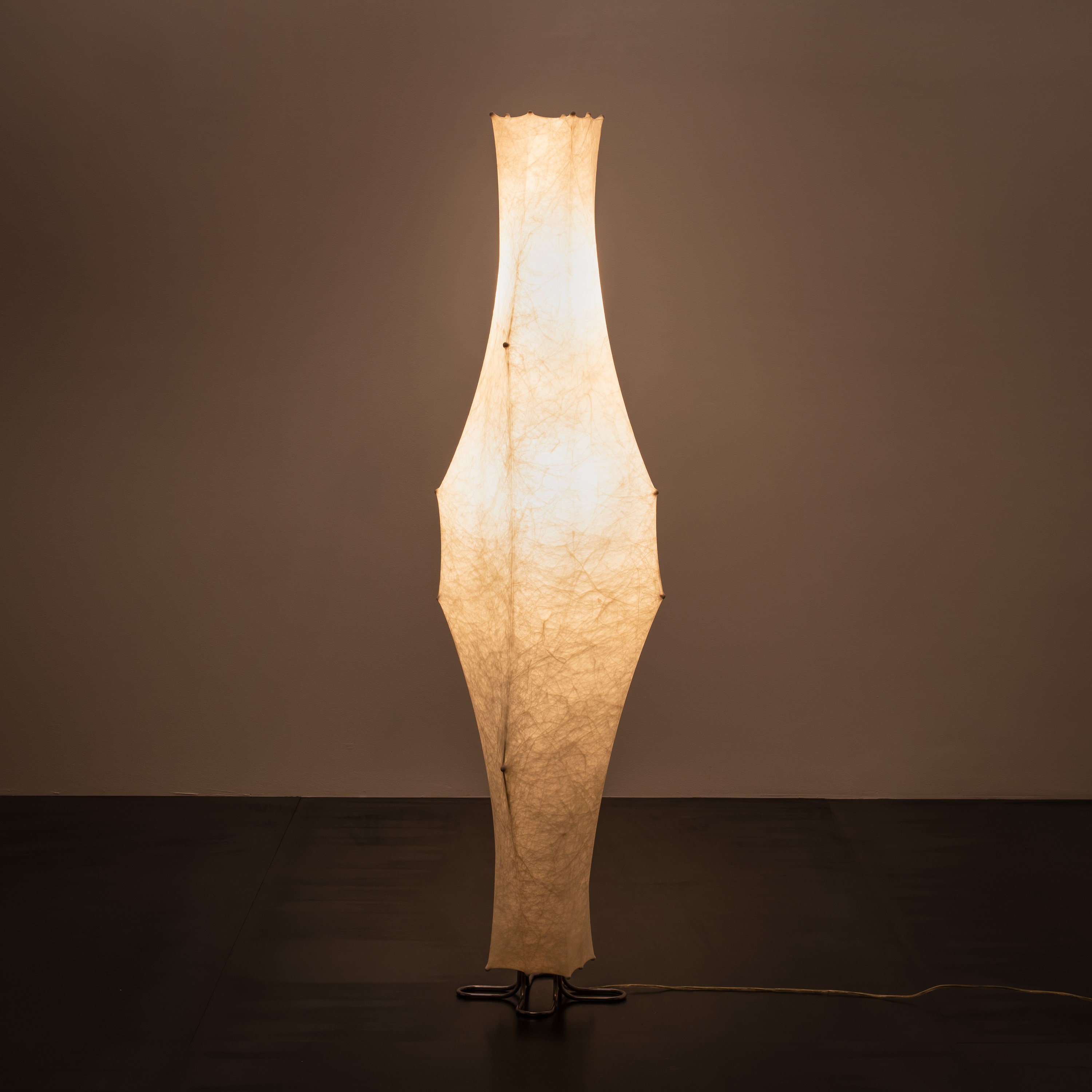 TOBIA SCARPA, PIANTANA 'FANTASMA'